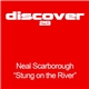 Neal Scarborough - Stung On The River